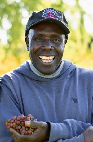 Sefton Davy, Vineyard Manager