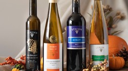 Share the Celebration Collection